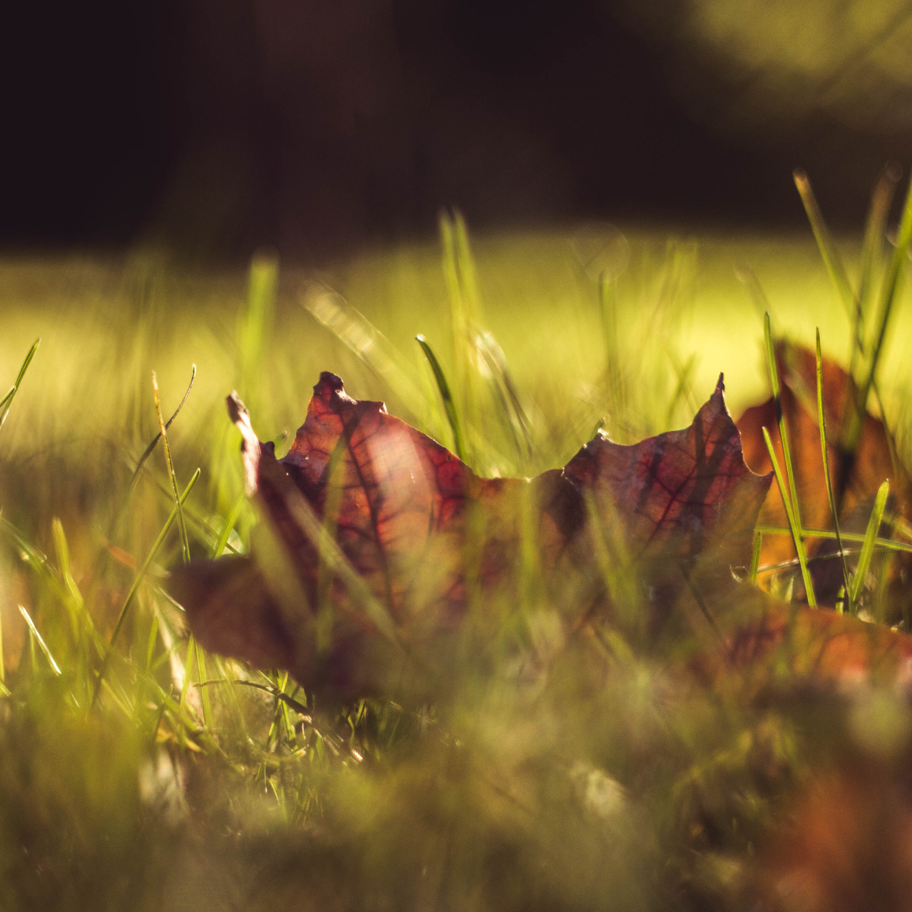 Adapting to a New, Muslim Lifestyle