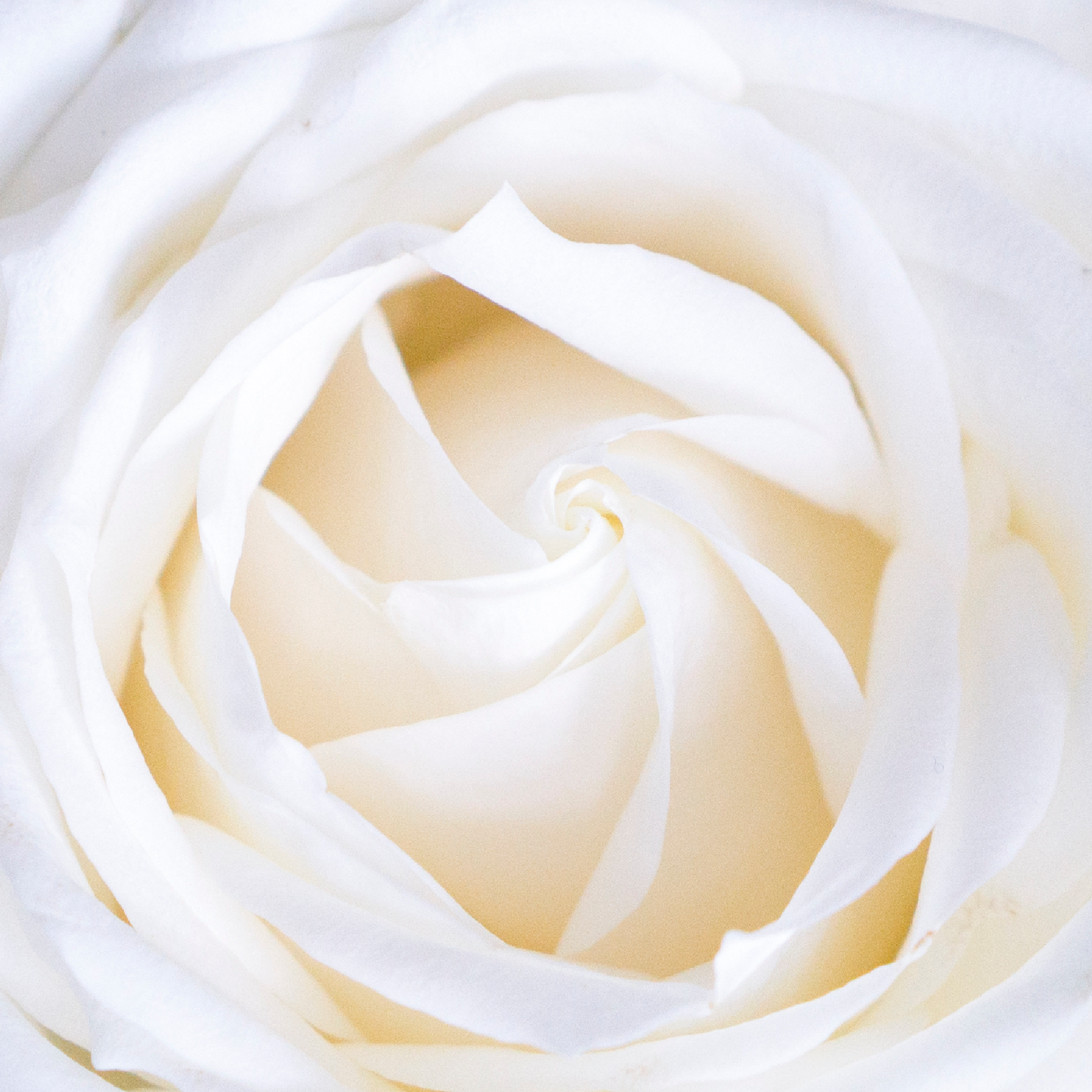 Developing Good Character