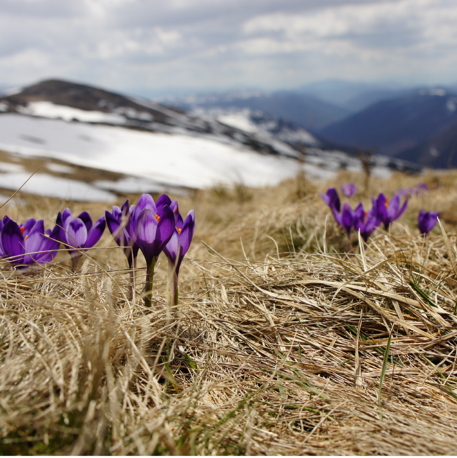 The Permanence of Loving Temporarily