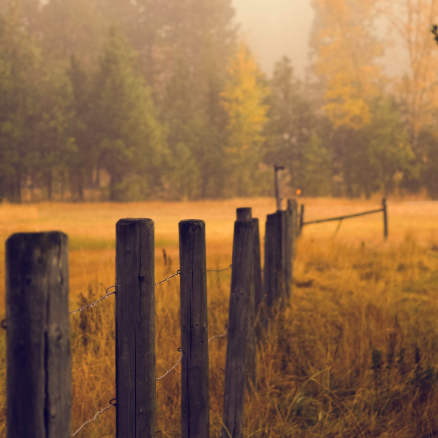 The Road Less Traveled