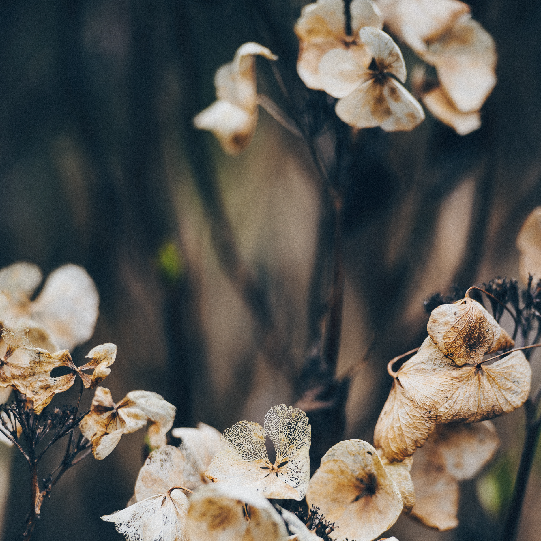 Why Do Muslims Pray 5 Times a Day?