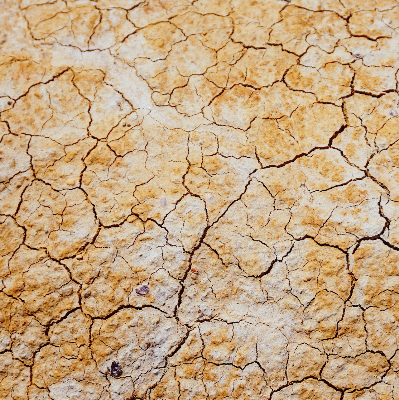 Types of Stagnant Muslims... And How to Get Out of Becoming One