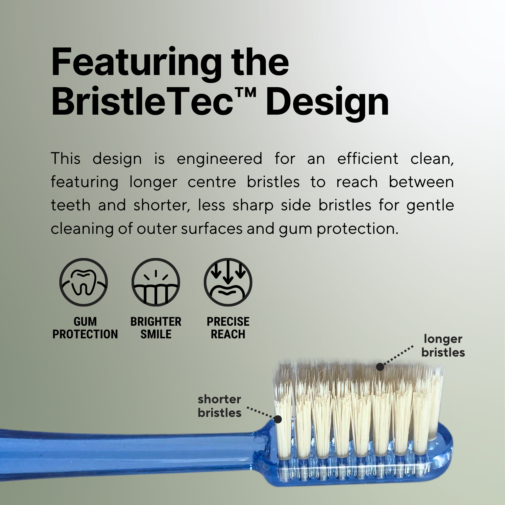 Miswak Toothbrush