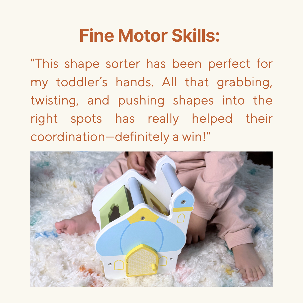 Shape Sorter