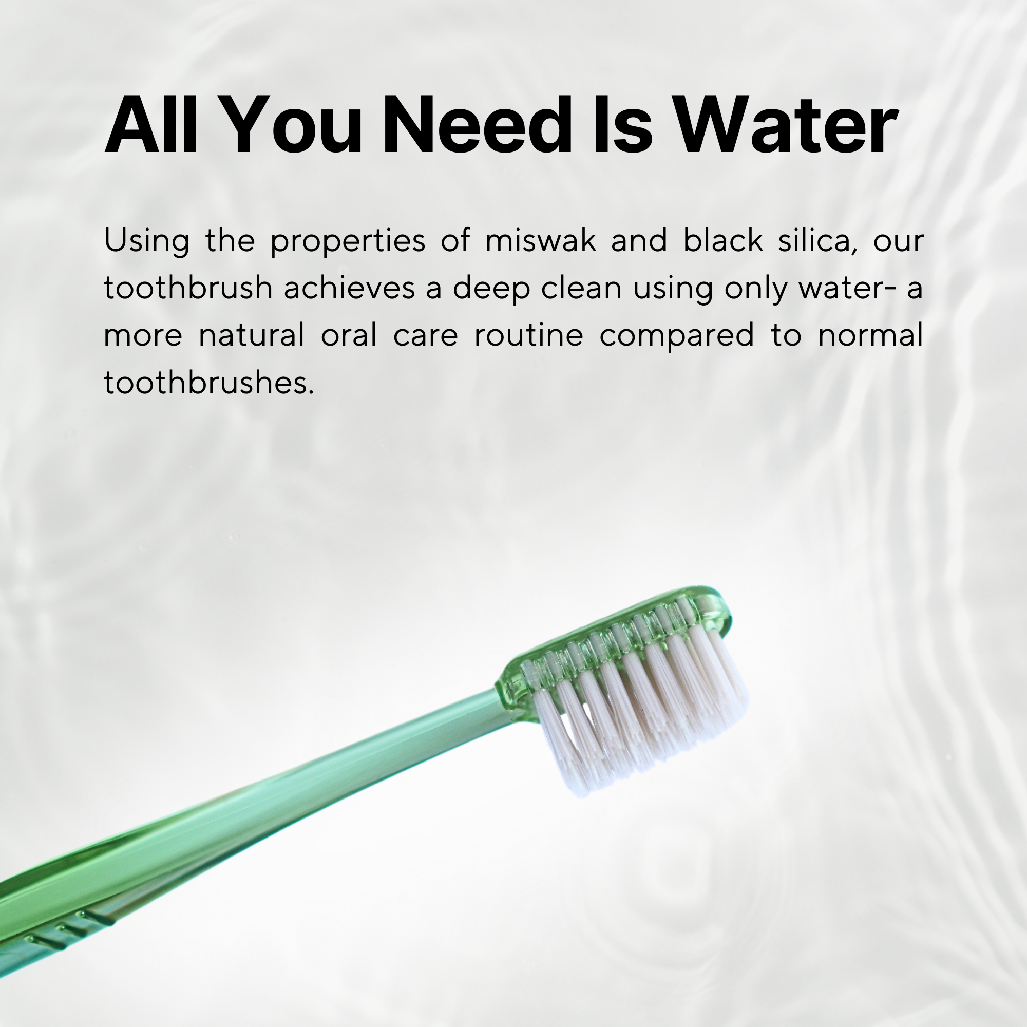 Miswak Toothbrush