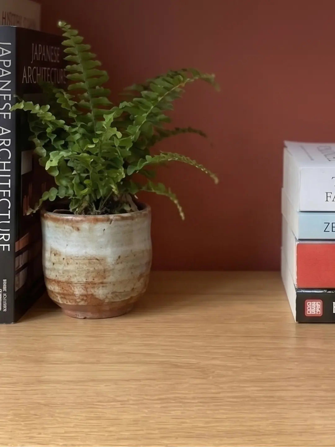 Cosy bookshelf with books and potted plants, showing Muslim home decor ideas for placing a TAKVA Mini among your books (mobile copy)