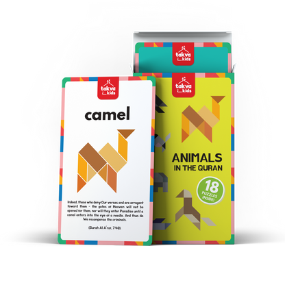 Lil Musafir Add-on Puzzle Cards